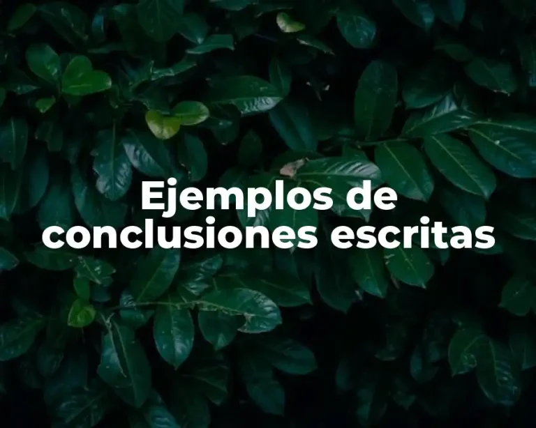 Ejemplos de conclusiones escritas