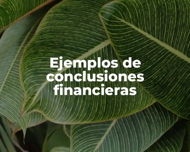 Ejemplos de conclusiones financieras