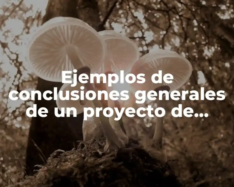 Ejemplos de conclusiones generales de un proyecto de credenciales