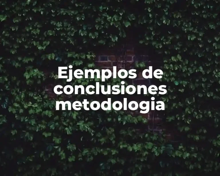 Ejemplos de conclusiones metodologia