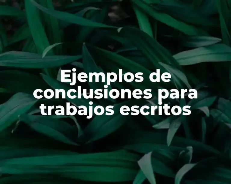 Ejemplos de conclusiones para trabajos escritos