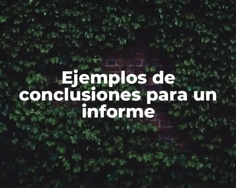 Ejemplos de conclusiones para un informe