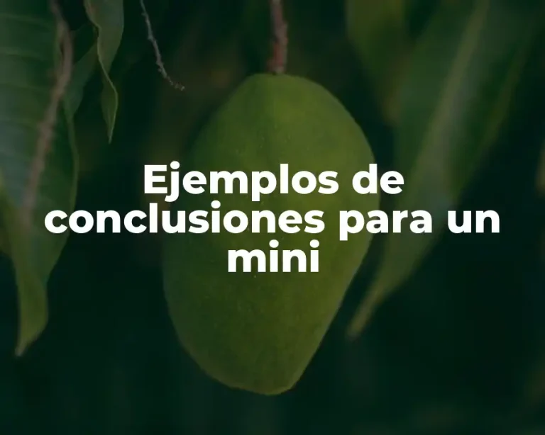 Ejemplos de conclusiones para un mini