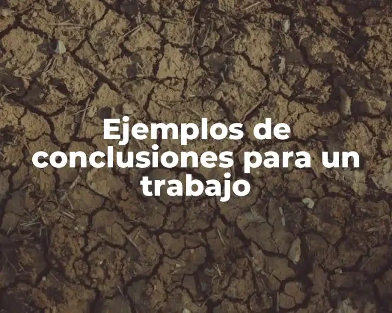 Ejemplos de conclusiones para un trabajo