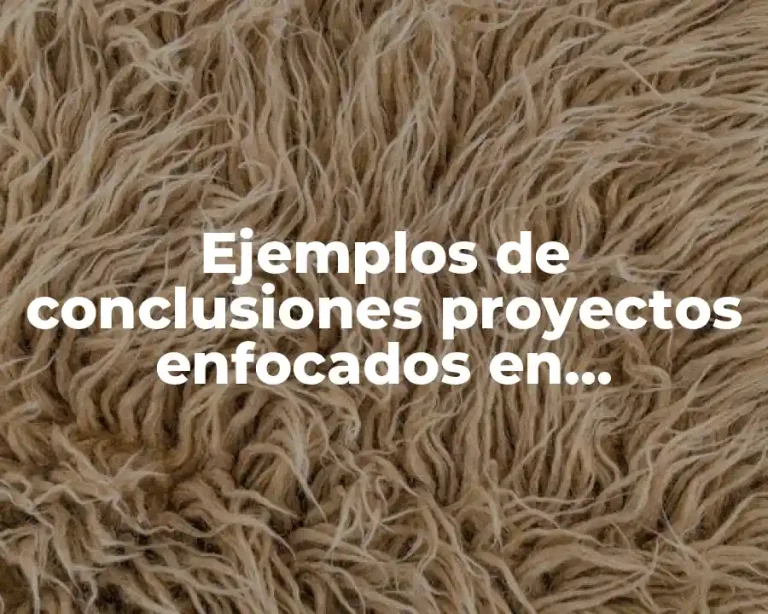 Ejemplos de conclusiones proyectos enfocados en ecommerce