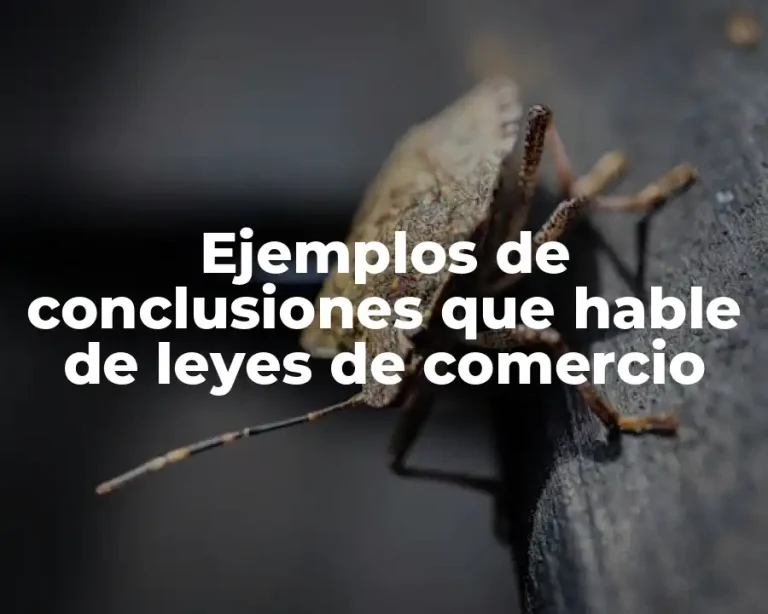 Ejemplos de conclusiones que hable de leyes de comercio