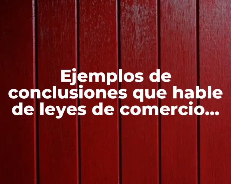 Ejemplos de conclusiones que hable de leyes de comercio exterior