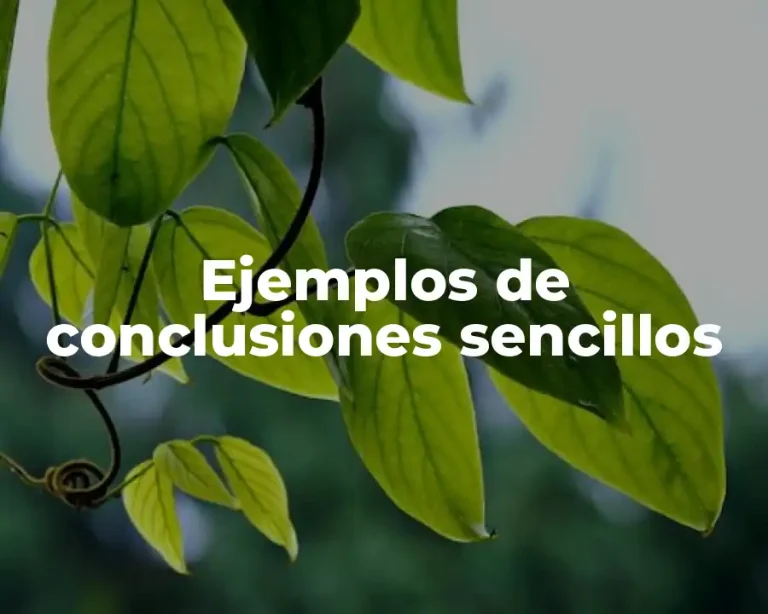 Ejemplos de conclusiones sencillos