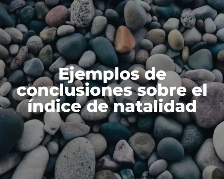 Ejemplos de conclusiones sobre el índice de natalidad