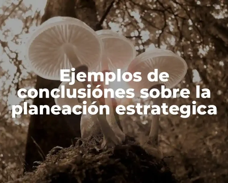 Ejemplos de conclusiónes sobre la planeación estrategica