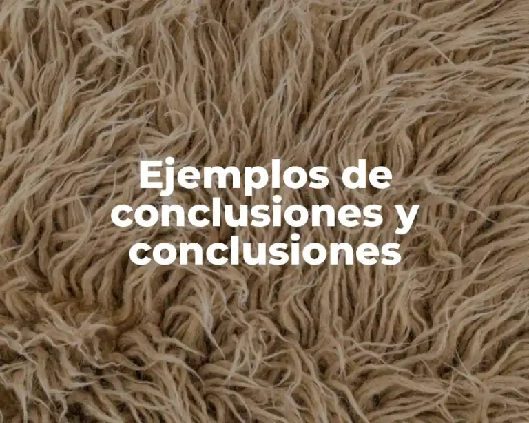 Ejemplos de conclusiones y conclusiones