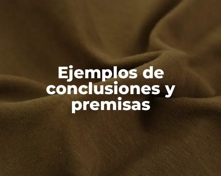 Ejemplos de conclusiones y premisas
