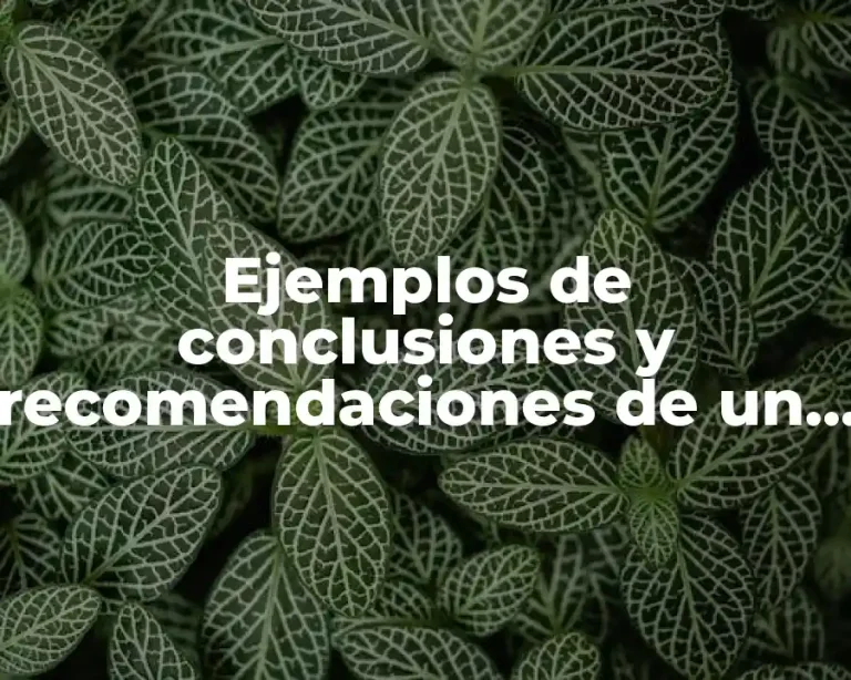 Ejemplos de conclusiones y recomendaciones de un trabajo de investigación