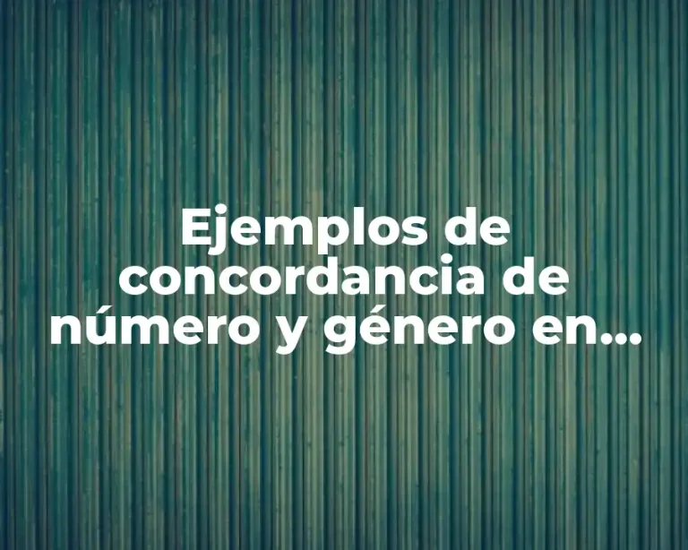 Ejemplos de concordancia de número y género en niños