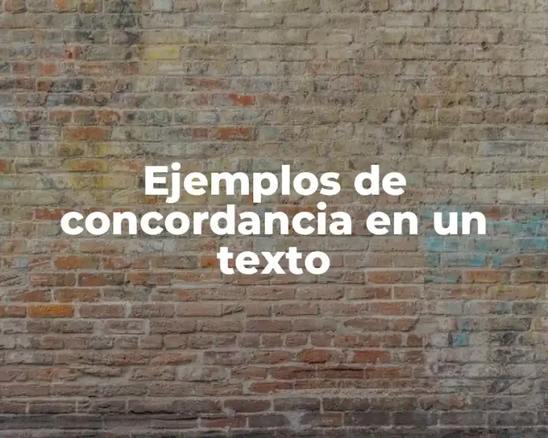 Ejemplos de concordancia en un texto