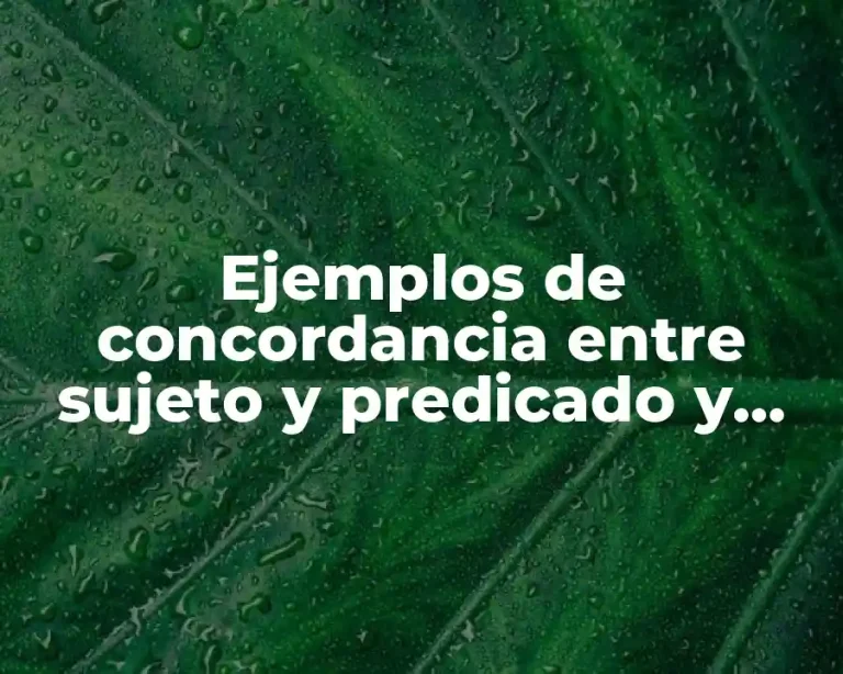 Ejemplos de concordancia entre sujeto y predicado y Significado