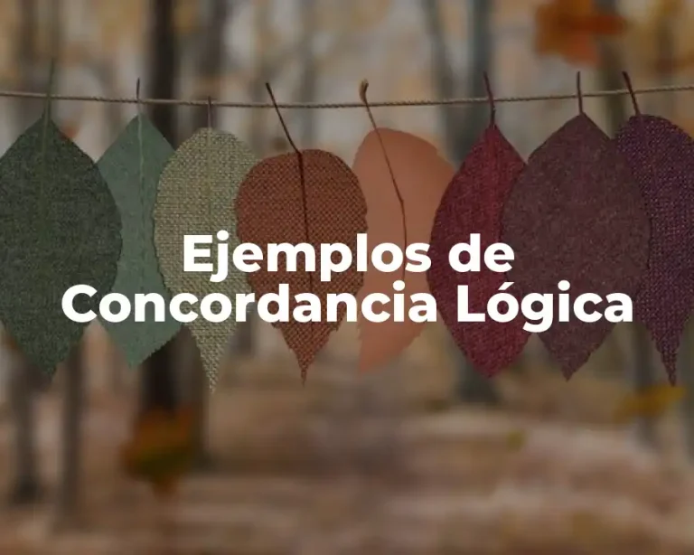 Ejemplos de Concordancia Lógica