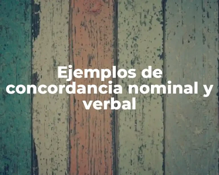 Ejemplos de concordancia nominal y verbal