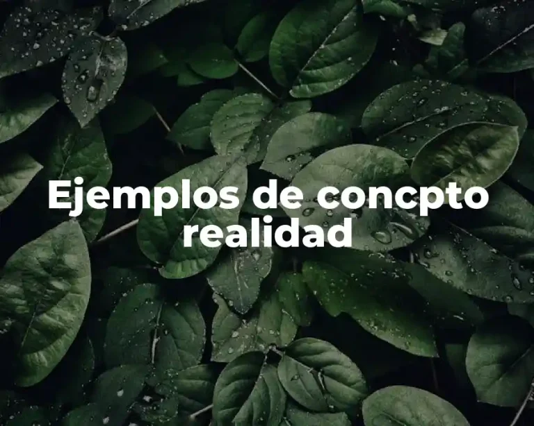 Ejemplos de concpto realidad