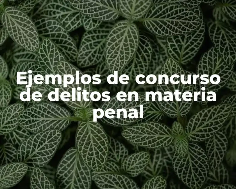Ejemplos de concurso de delitos en materia penal