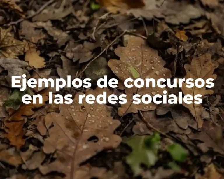 Ejemplos de concursos en las redes sociales