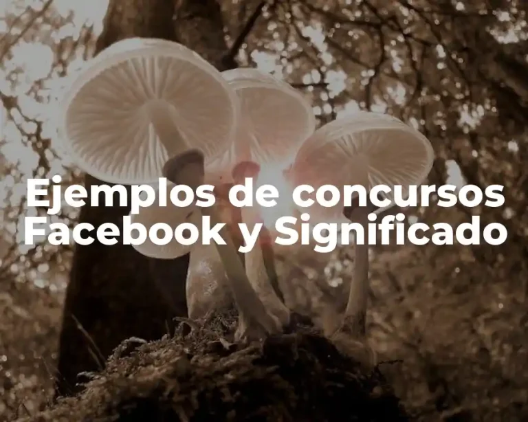 Ejemplos de concursos Facebook y Significado