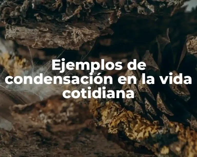 Ejemplos de condensación en la vida cotidiana