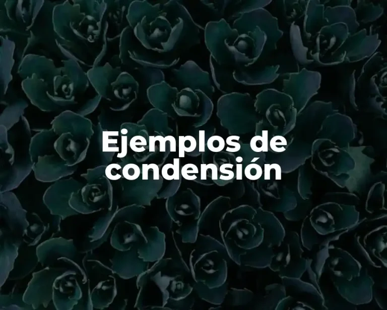 Ejemplos de condensión
