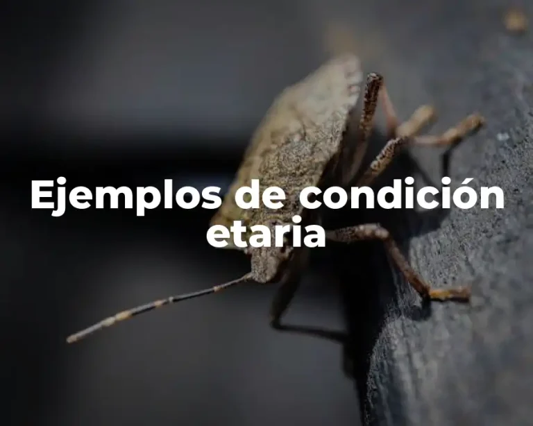 Ejemplos de condición etaria