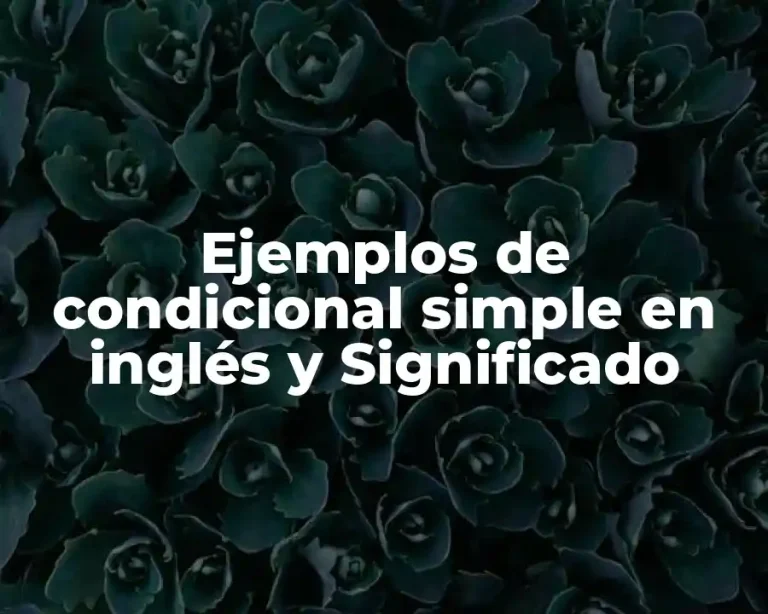 Ejemplos de condicional simple en inglés y Significado