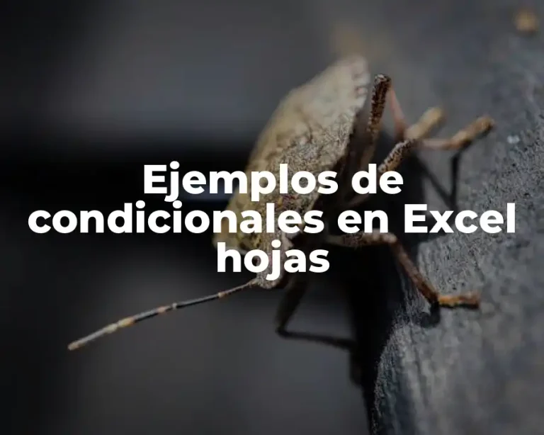 Ejemplos de condicionales en Excel hojas