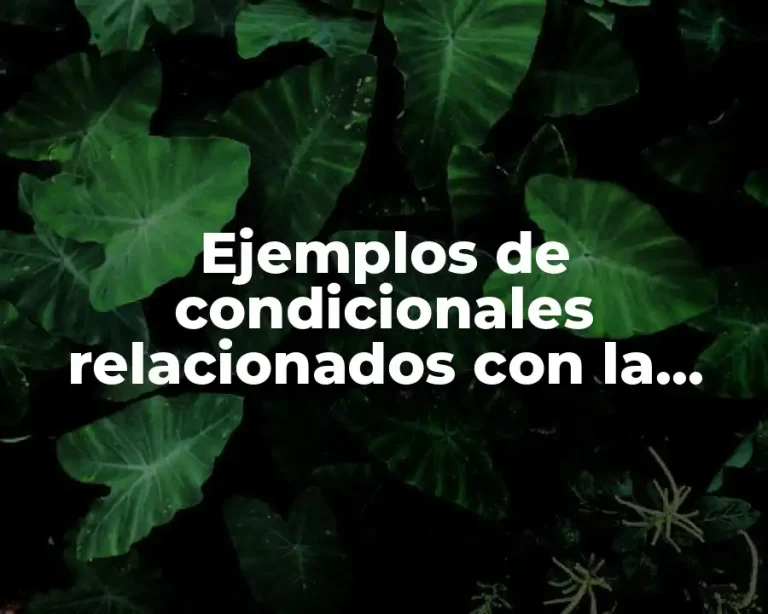 Ejemplos de condicionales relacionados con la playa