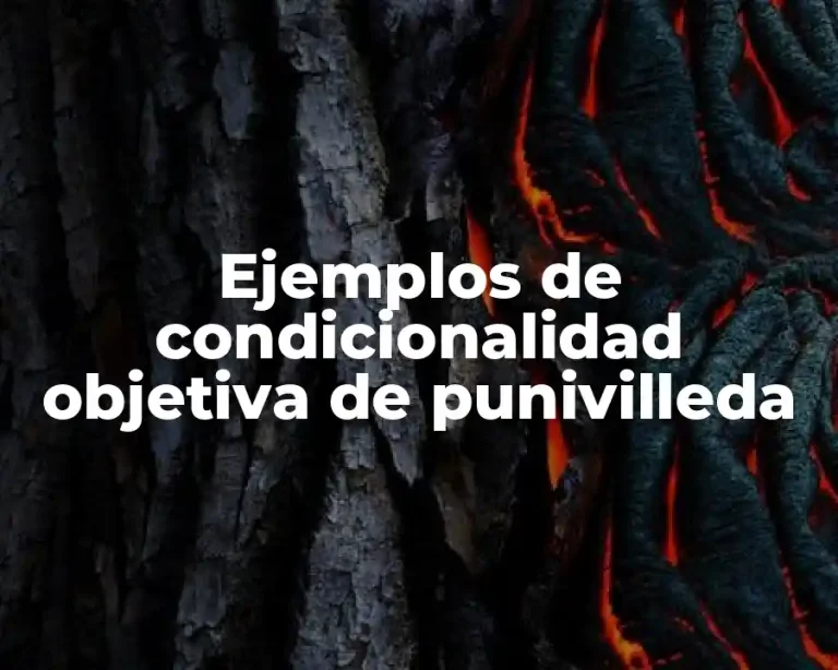 Ejemplos de condicionalidad objetiva de punivilleda