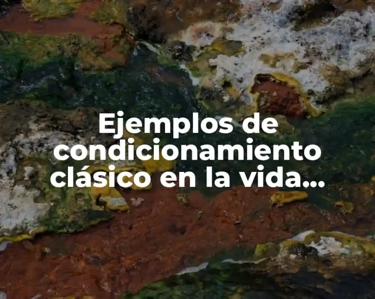 Ejemplos de condicionamiento clásico en la vida cotidiana