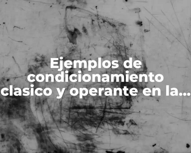 Ejemplos de condicionamiento clasico y operante en la vida cotidiana y Significado