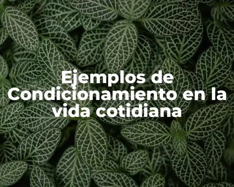 Ejemplos de Condicionamiento en la vida cotidiana