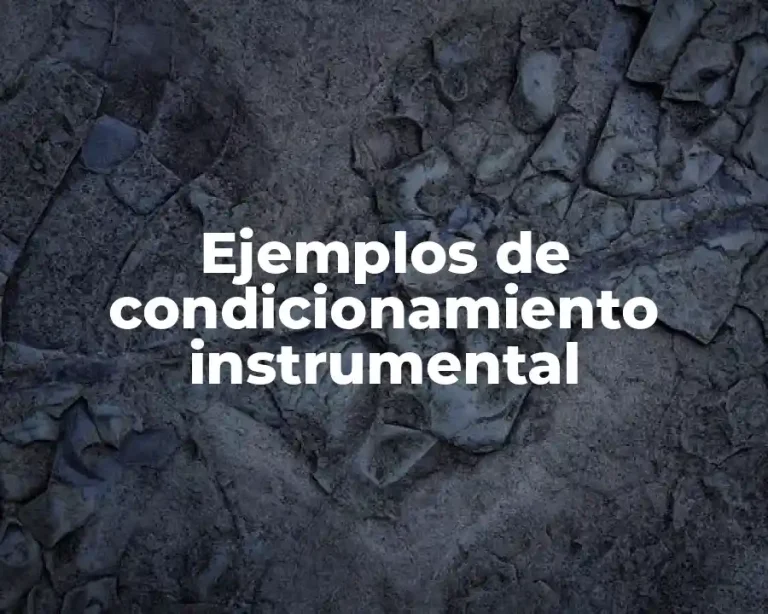 Ejemplos de condicionamiento instrumental