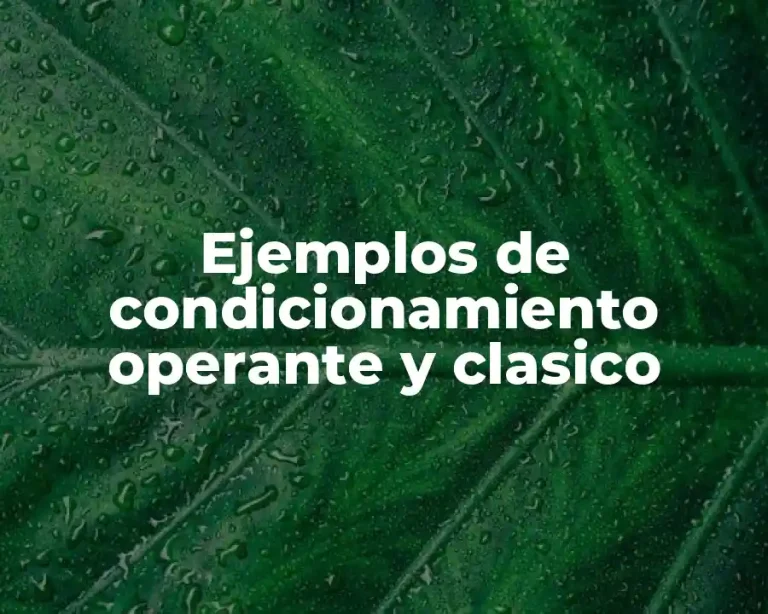Ejemplos de condicionamiento operante y clasico