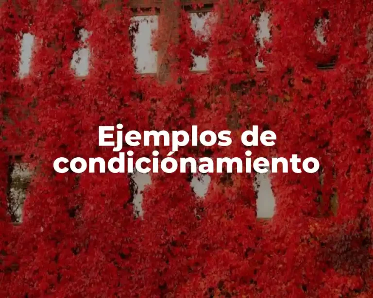 Ejemplos de condiciónamiento