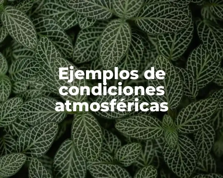 Ejemplos de condiciones atmosféricas