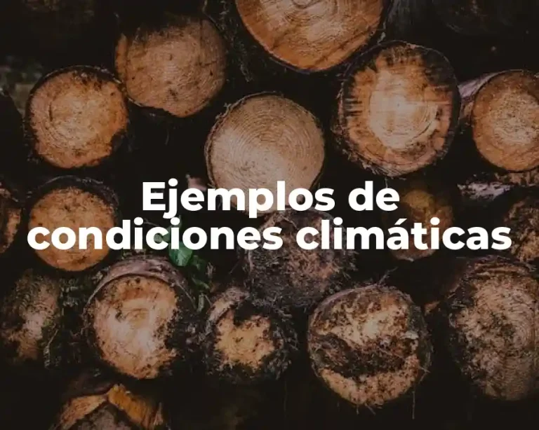 Ejemplos de condiciones climáticas