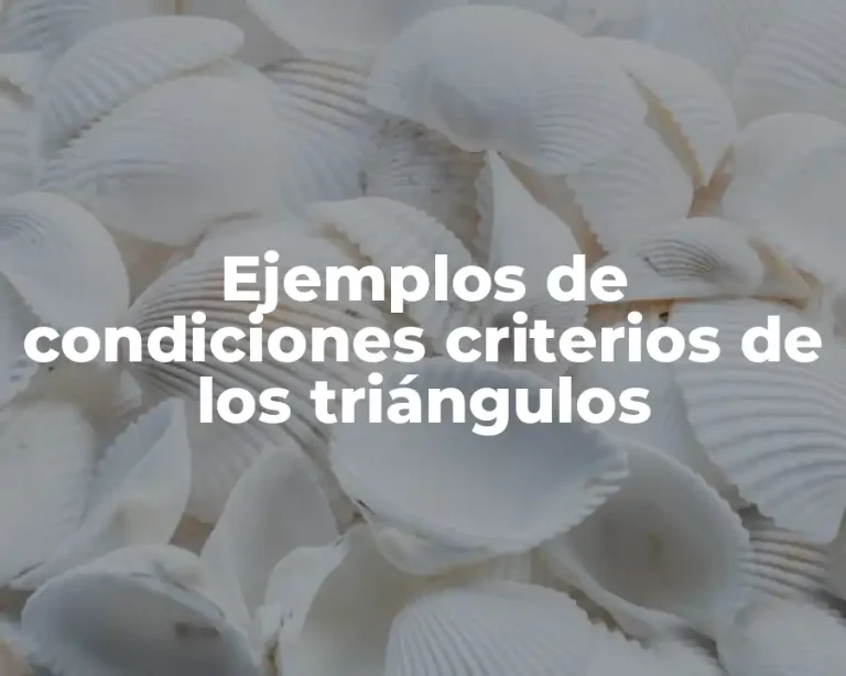 Ejemplos de condiciones criterios de los triángulos