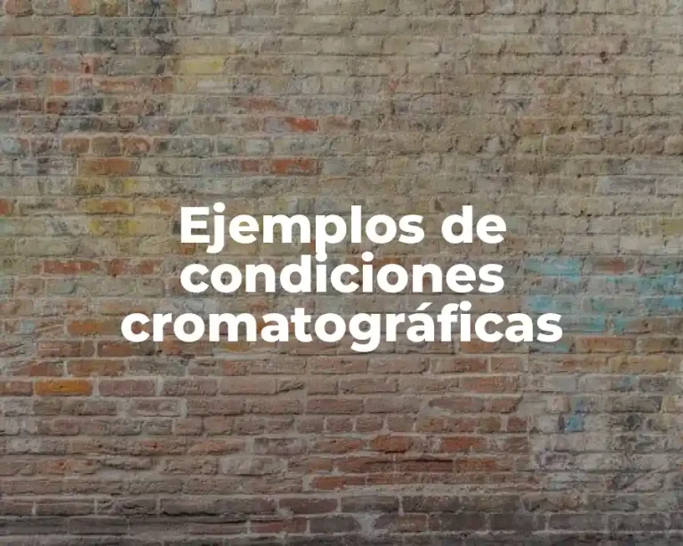 Ejemplos de condiciones cromatográficas