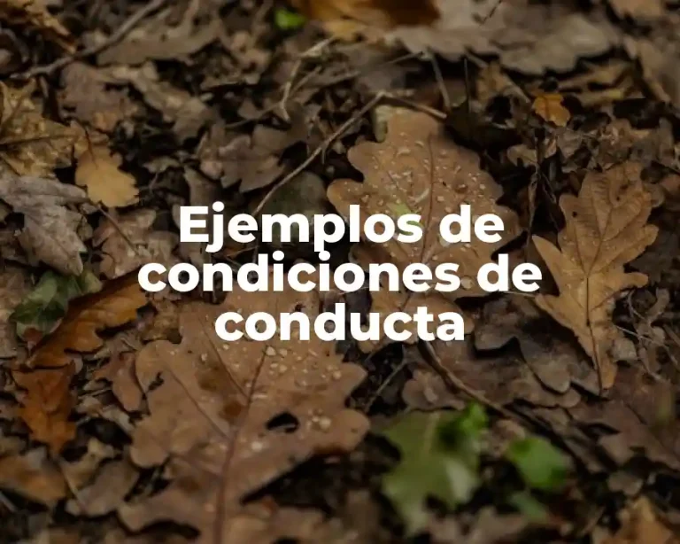 Ejemplos de condiciones de conducta