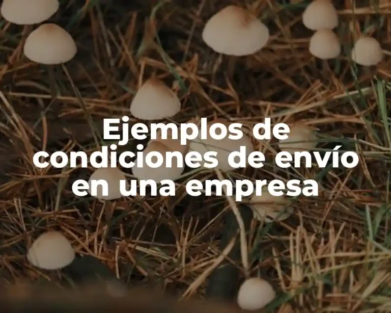 Ejemplos de condiciones de envío en una empresa