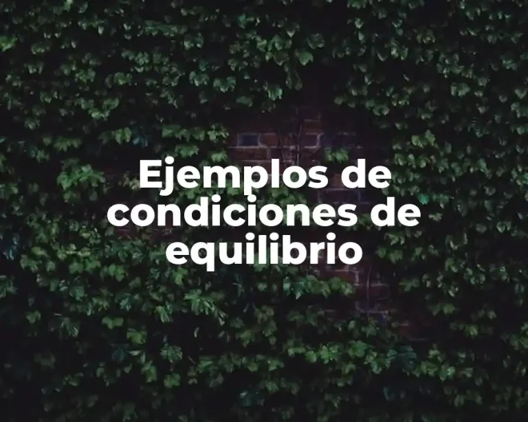 Ejemplos de condiciones de equilibrio