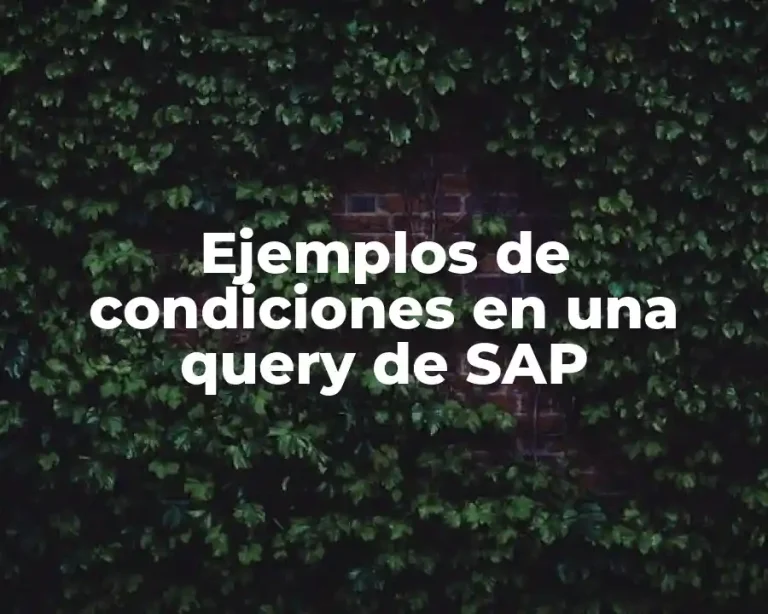 Ejemplos de condiciones en una query de SAP