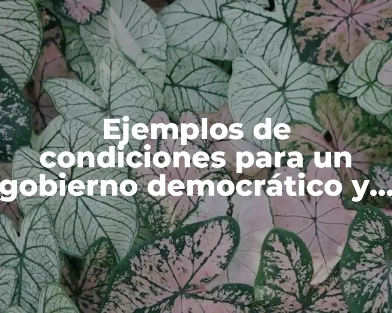 Ejemplos de condiciones para un gobierno democrático y Significado