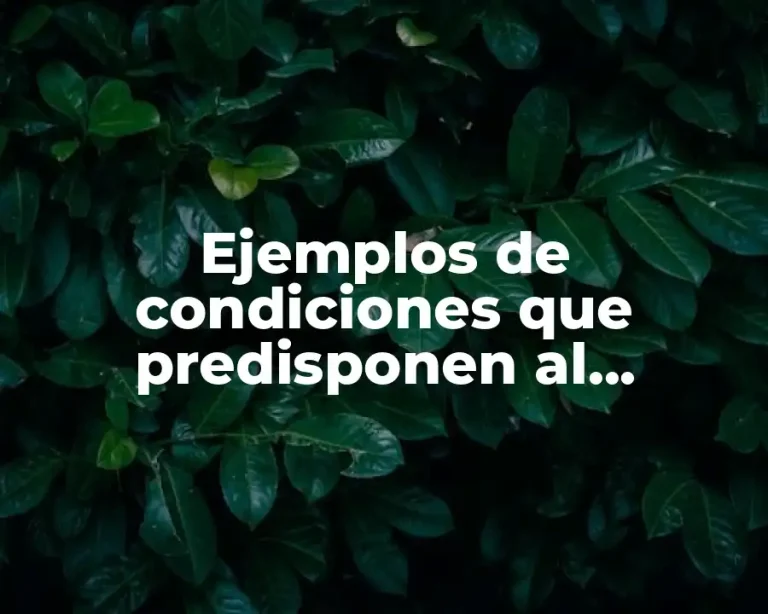 Ejemplos de condiciones que predisponen al conflicto