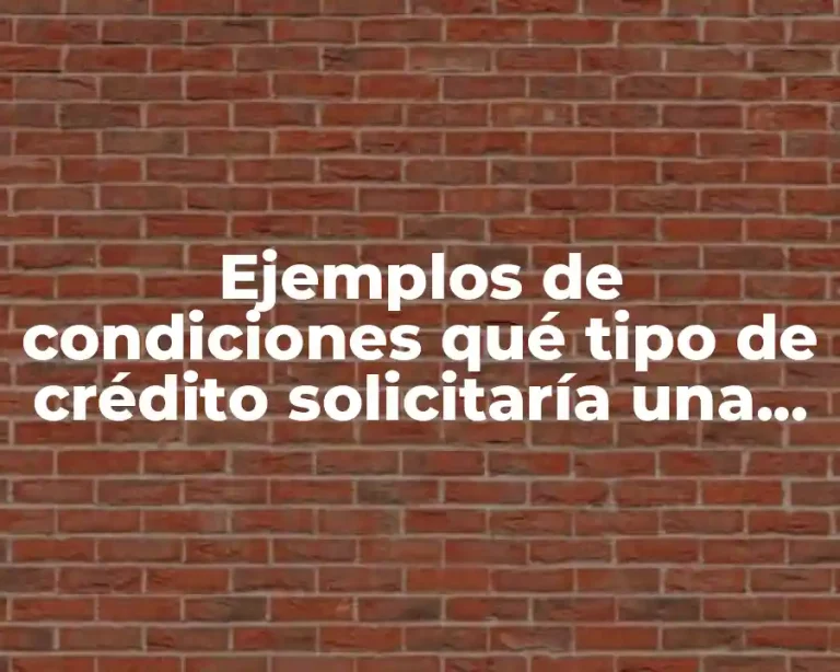 Ejemplos de condiciones qué tipo de crédito solicitaría una empresa